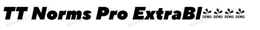 TT Norms Pro ExtraBl字体转换